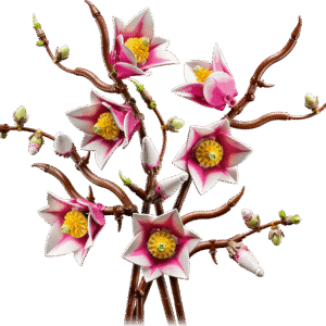 LEGO Botanicals Magnoliatakken 11510