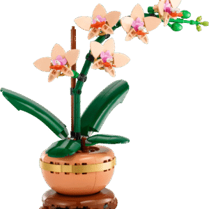 LEGO Botanicals Mini Orchidee 10343