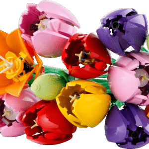 LEGO Botanicals Tulpenboeket 11501