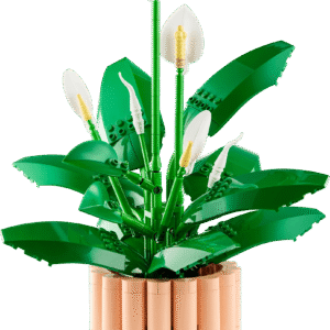 LEGO Botanicals Lepelplant 11504