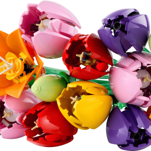 LEGO Botanicals Tulpenboeket 11501