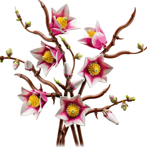 LEGO Botanicals Magnoliatakken 11510